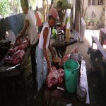 On tue le cochon