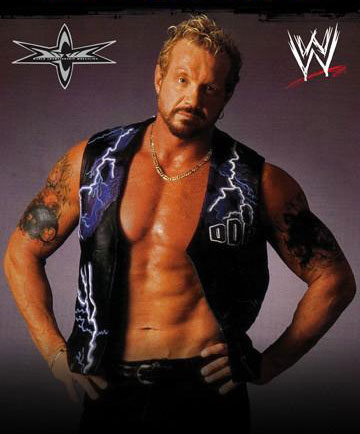 Diamond Dallas Page